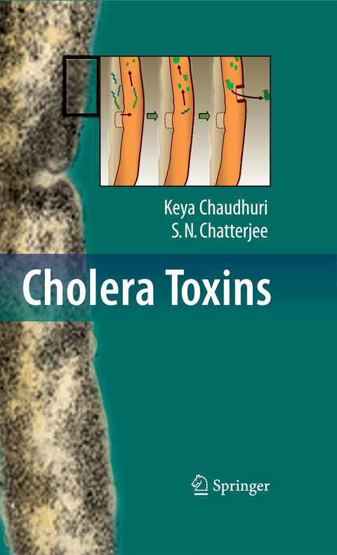 Cholera Toxins - Keya Chaudhuri, S. N. Chatterjee