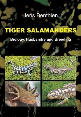 Tiger Salamanders - Jens Benthien