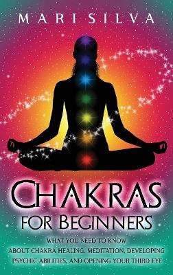 Chakras for Beginners - Mari Silva