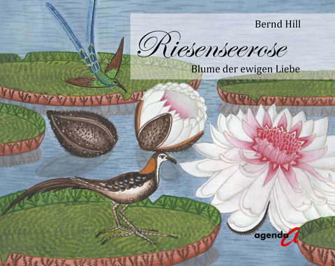 Riesenseerose - Bernd Hill