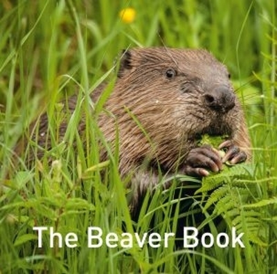 Beaver Book, The - Hugh Warwick