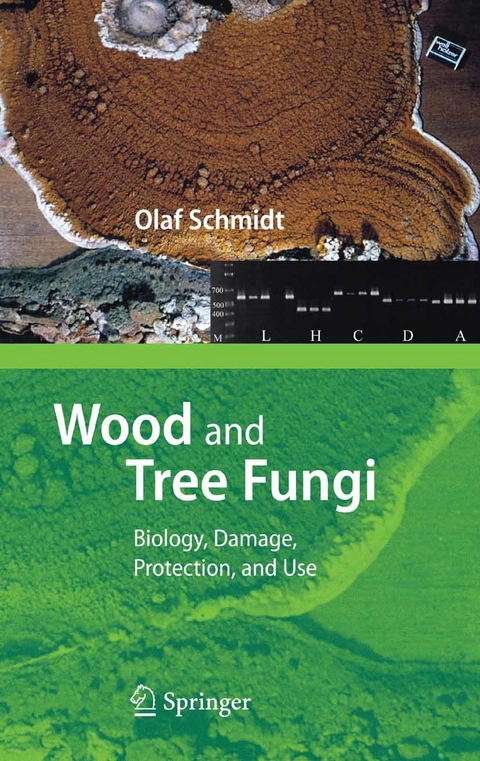 Wood and Tree Fungi -  Olaf Schmidt