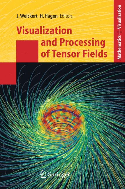 Visualization and Processing of Tensor Fields - 