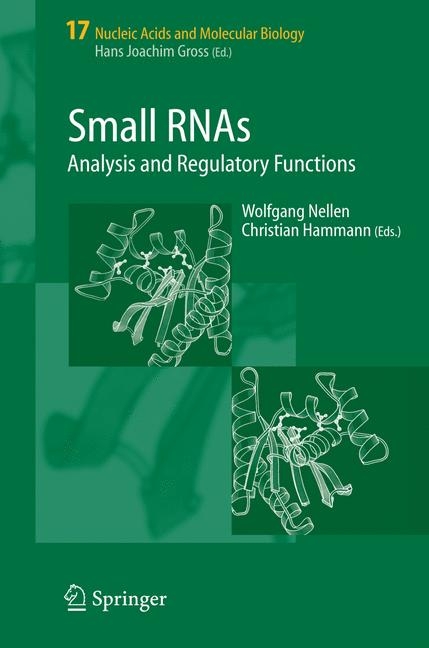 Small RNAs: - 