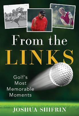 From the Links - Joshua Shifrin