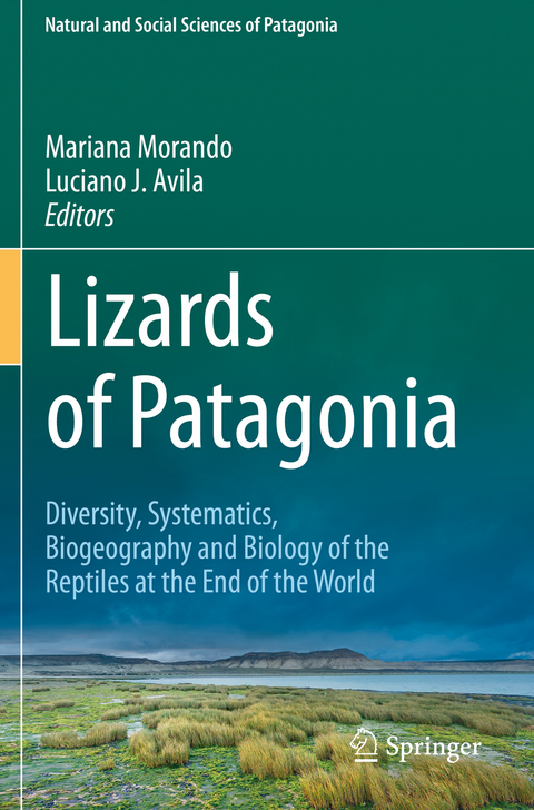 Lizards of Patagonia - 