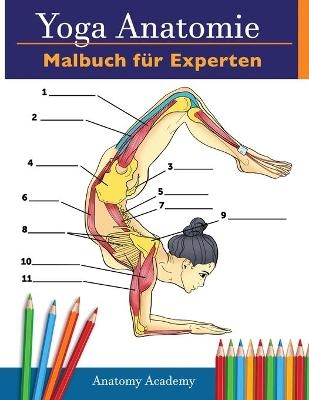 Yoga-Anatomie-Malbuch für Experten - Anatomy Academy