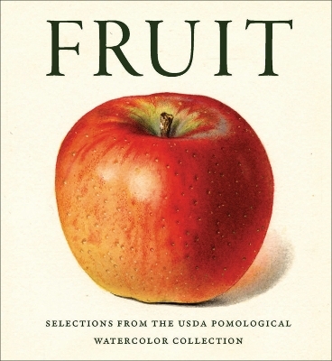 Fruit - 