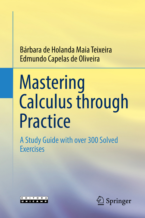 Mastering Calculus through Practice - Bárbara de Holanda Maia Teixeira, Edmundo Capelas de Oliveira