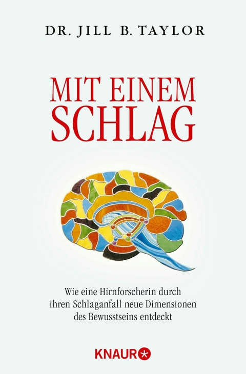 Mit einem Schlag -  Dr. Jill B. Taylor