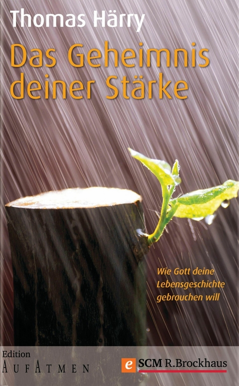 Das Geheimnis deiner Stärke - Thomas Härry