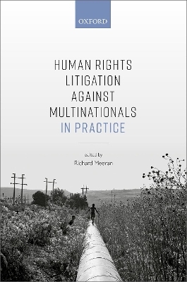 Human Rights Litigation against Multinationals in Practice - 