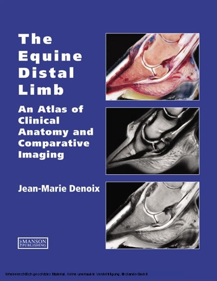 Equine Distal Limb -  Jean-Marie Denoix