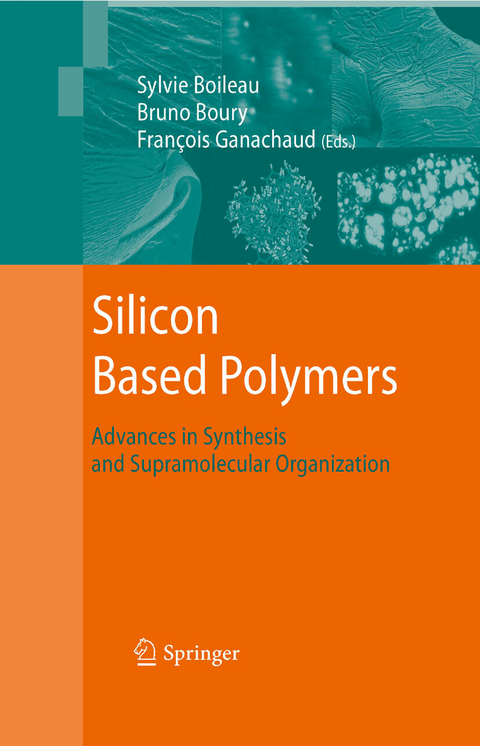 Silicon Based Polymers - 