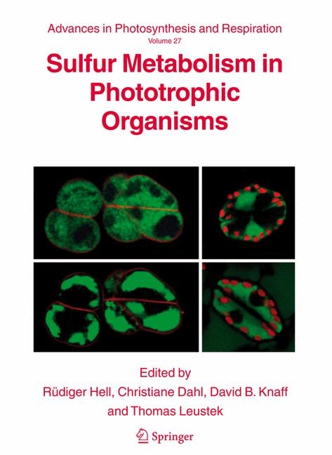 Sulfur Metabolism in Phototrophic Organisms - 