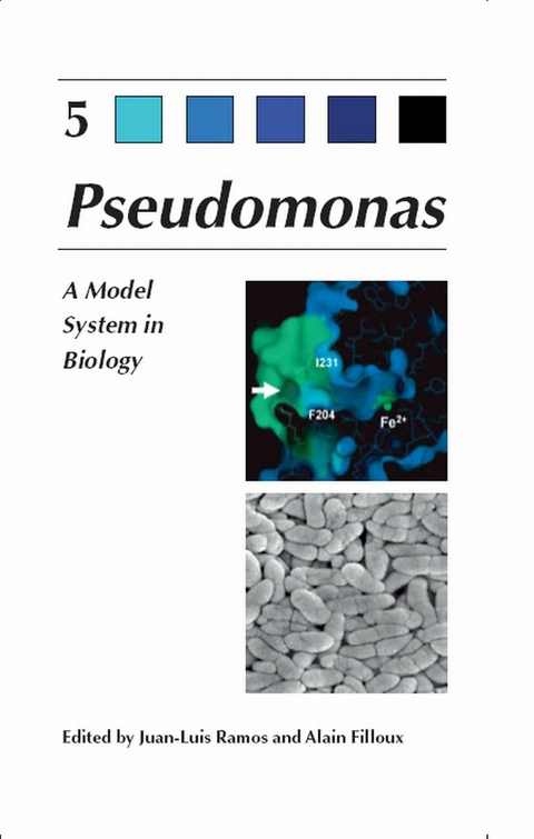 Pseudomonas - 