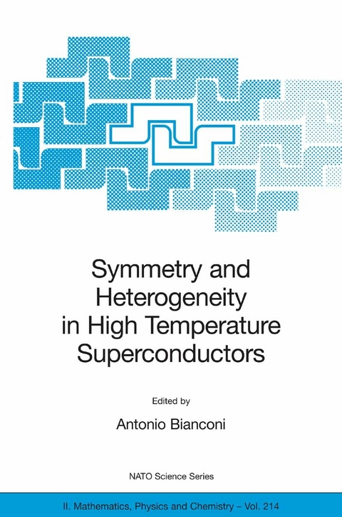 Symmetry and Heterogeneity in High Temperature Superconductors - 