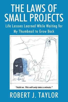 The Laws of Small Projects - Robert J Taylor