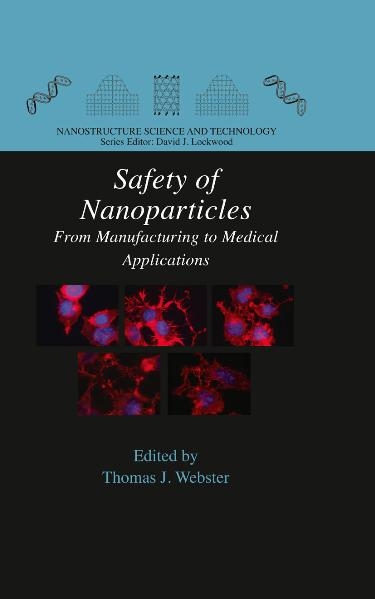 Safety of Nanoparticles - 