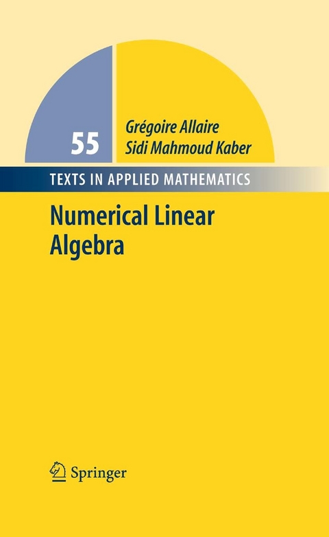 Numerical Linear Algebra - Grégoire Allaire, Sidi Mahmoud Kaber