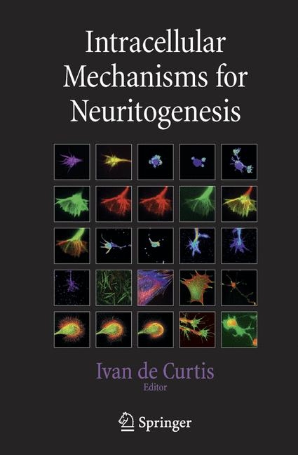 Intracellular Mechanisms for Neuritogenesis - 