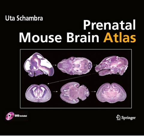 Prenatal Mouse Brain Atlas -  Uta Schambra