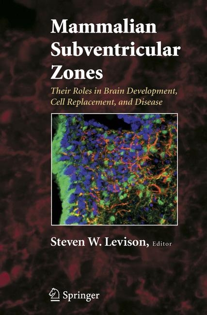 Mammalian Subventricular Zones - 