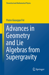 Advances in Geometry and Lie Algebras from Supergravity - Pietro Giuseppe Frè