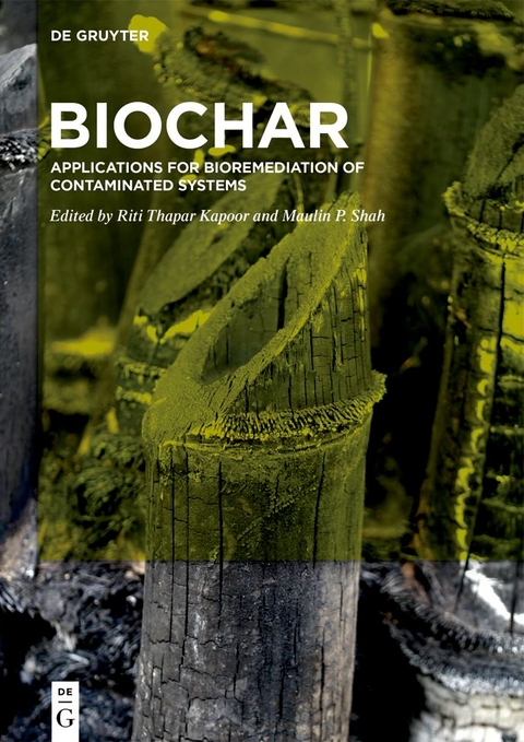 BioChar - 