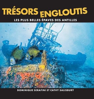 Trésors Engloutis - Dominique Serafini, Cathy Salisbury