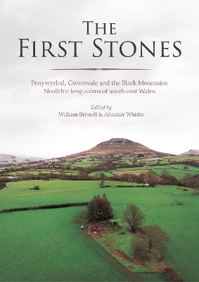 The First Stones - 