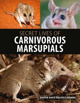 Secret Lives of Carnivorous Marsupials - Andrew Baker, Christopher Dickman