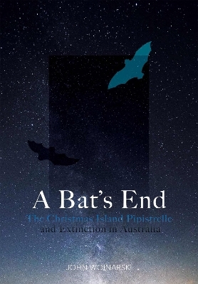 A Bat's End - John Woinarski