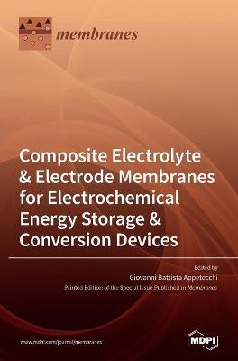 Composite Electrolyte & Electrode Membranes for Electrochemical Energy Storage & Conversion Devices