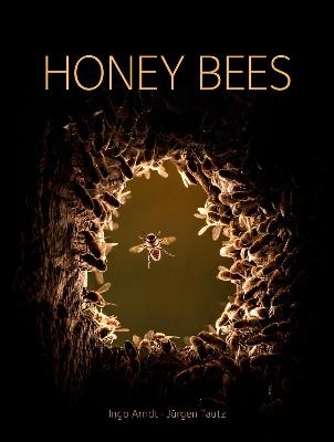 Honey Bees - Jurgen Tautz