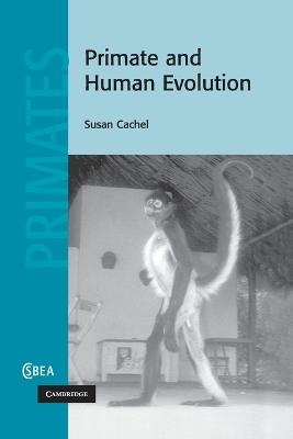 Primate and Human Evolution - Susan Cachel