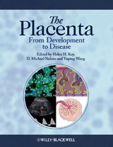 The Placenta - 