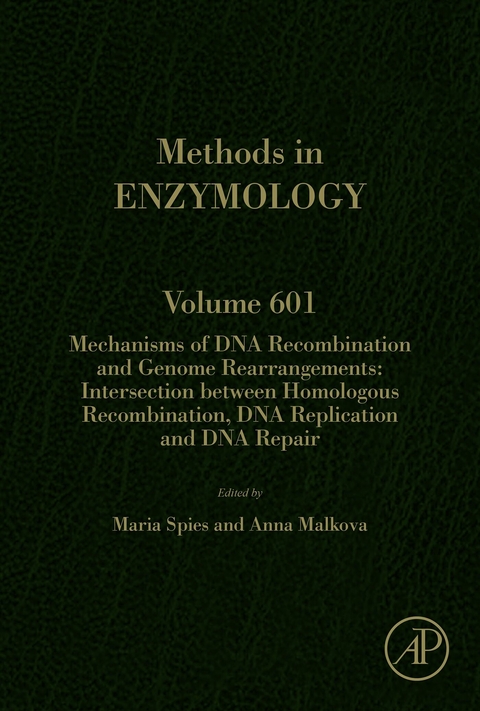 Mechanisms of DNA Recombination and Genome Rearrangements: Intersection Between Homologous Recombination, DNA Replication and DNA Repair - 