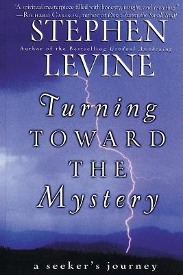 Turning Towards the Mystery - Stephen Levine