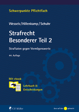 Strafrecht Besonderer Teil/2 - 