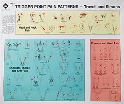 Travell and Simons' Trigger Point Pain Patterns Wall Charts - Janet Travell, David Simons