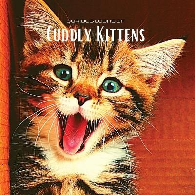 Curious looks of Cuddly Kittens - Hayden Clayderson