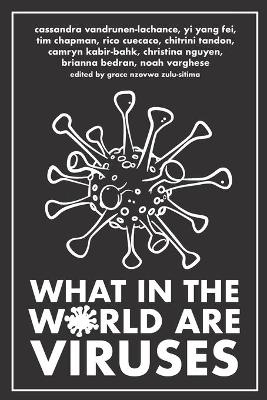 What in the World are Viruses - Cassandra VanDrunen-Lachanse,  Yi Yang Fei, Tim Chapman