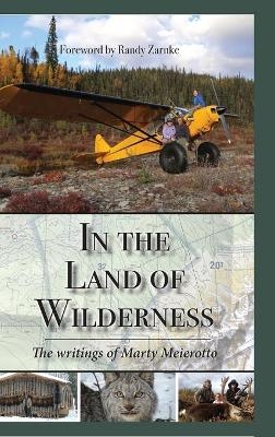 In the Land of Wilderness - Marty Meierotto