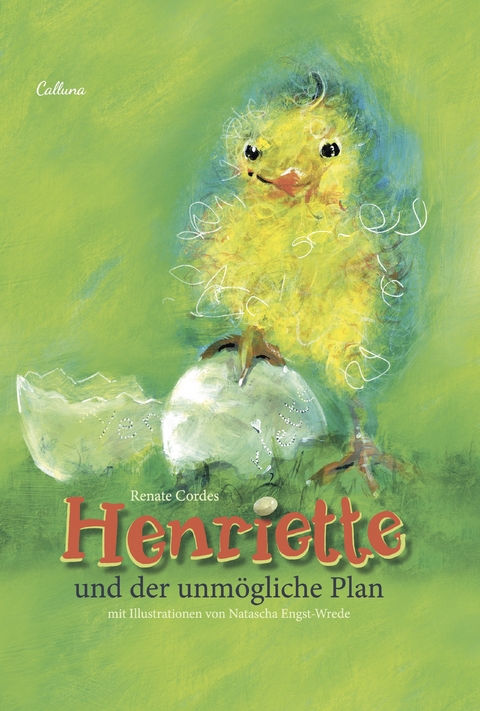 Henriette und der unmögliche Plan - Renate Cordes