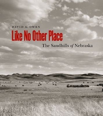 Like No Other Place - David Owen