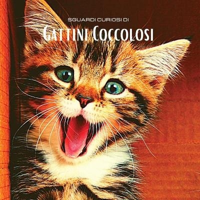 Sguardi Curiosi di Gattini Coccolosi - Hayden Clayderson