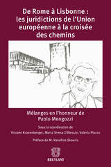 De Rome à Lisbonne: les juridictions de l'Union européenne à la croisée des chemins - 