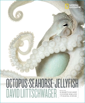 Octopus, Seahorse, Jellyfish - David Littschwager