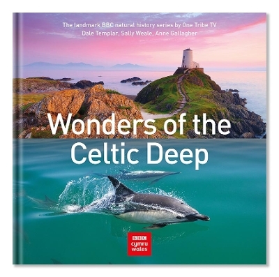 Wonders of the Celtic Deep - Dale Templar, Sally Weale, Anne Gallagher